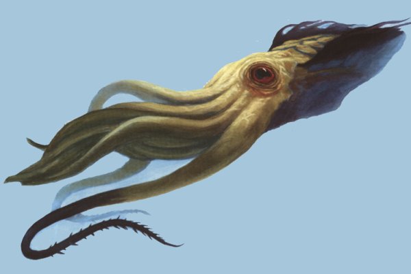 Kraken 2krn