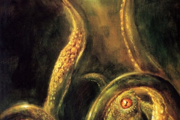 Кракен актуальная ссылка kraken torion net