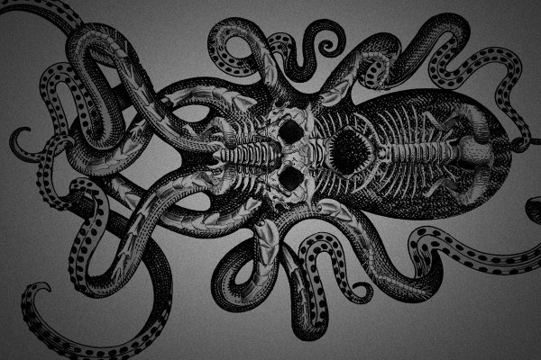 Kraken ссылка для тору