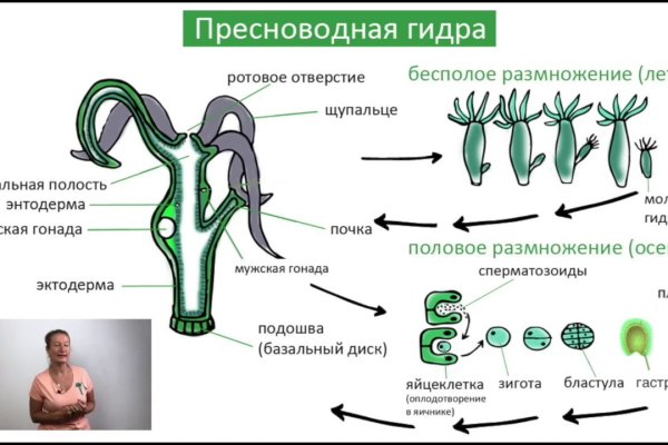 Kraken адрес