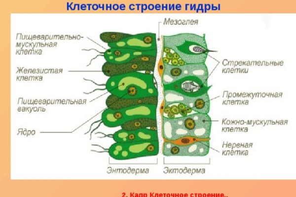 Kraken darknet ссылка тор