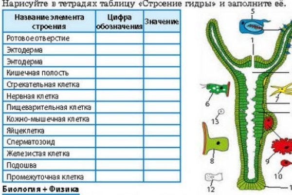 Ссылка на кракен в браузере