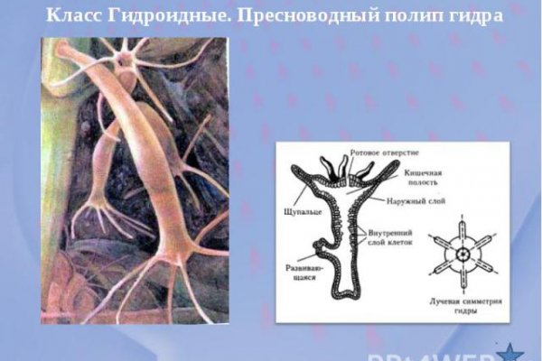 Кракен безопасный вход