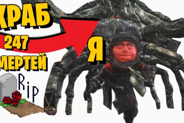 Kraken 12