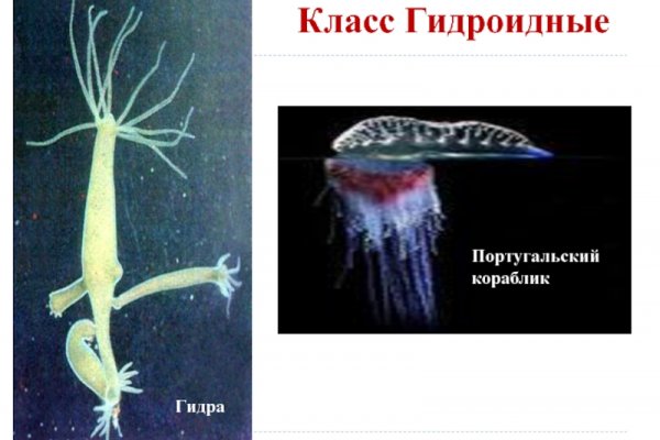 Kraken магазин