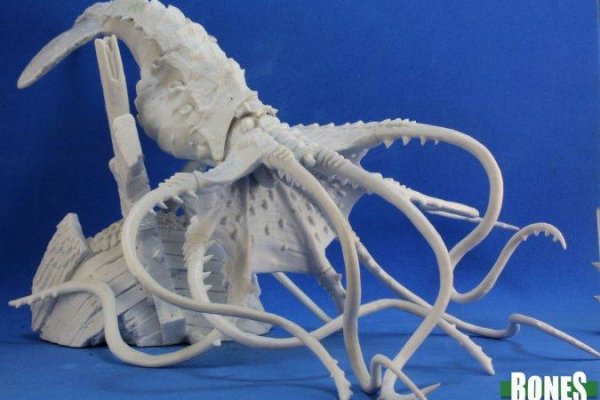Kraken 24 top