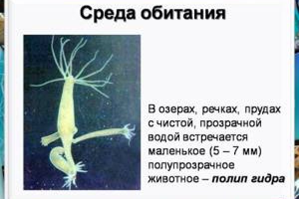 Как зайти на кракен дарк