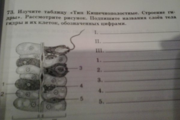 Что такое кракен шоп