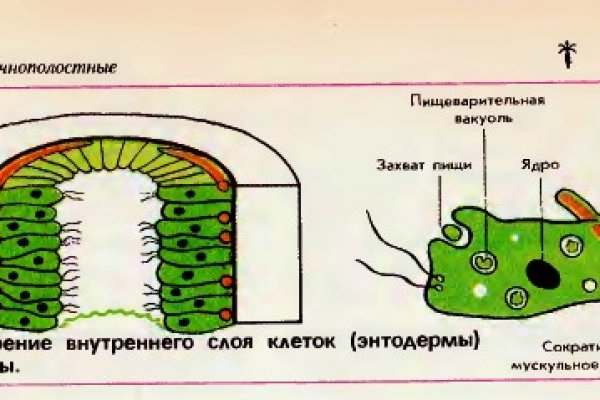Как зарегаться на кракене